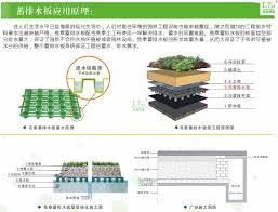 排水板 屋顶绿化排水板 排蓄水板 hdpe排水板 排水板厂家厂家价格蓄排水板 114批发网 map screenshot map architecture