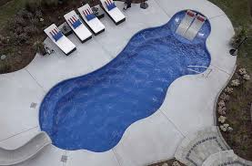 Thursday Pools Wellspring 40 Tanning Ledge Combo Pool Model Tanning Ledges Backyard Pool Designs Diy Pool