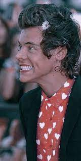 R A D D E S T E L L I E Harry Styles Hat Fetus Harry Styles Harry Styles Hair