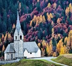 Ricette e prodotti tipici delle marche, preparazioni spiegate passo passo, guida alle la cucina marchigiana è ricca di prodotti tipici, coltivati o elaborati proprio nella regione con. Cucina Marchigiana Le Ricette Tradizionali Delle Marche La Cucina Italiana