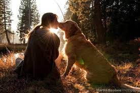 Sweet Dog Photoshoot Dog Family Pictures Girl And Dog