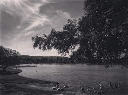 My Los Angeles 19 Lake Balboa Via Instagram My Word With Douglas E Welch Lake Balboa Los Angeles Lake