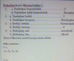 Dan terakhir, jika anda sudah mengetahui pengertian. Kunci Dikotomi Untuk Kacang Tanah Brainly Co Id