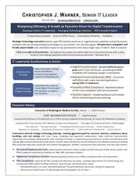 Dang of the johns hopkins institute for cell engineering (ice) in baltimore, md. Cover Letter Examples Vice President