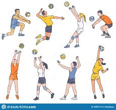 A seleção polonesa de voleibol masculino é uma equipe europeia composta pelos melhores jogadores de voleibol da polônia. Jogadores De Volei Homens E Mulheres Apresentam Uma Ilustracao Isolada Do Vetor De Esboco Ilustracao Do Vetor Ilustracao De Silhueta Saque 169601173