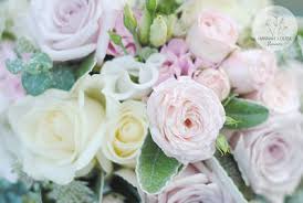 We did not find results for: Blog Archives Hannah Louise Flowers