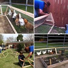 Baue Einen Diy Huhnertunnel In Deinem Hinterhof Ine Background Tunne Background Deinem Einen Hinterho Chicken Tunnels Chicken Diy Chickens Backyard