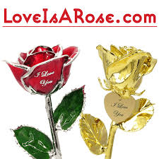 26 list list price $12.39 $ 12. Gold Dipped Roses 24k Gold Roses Are Forever Loveisarose