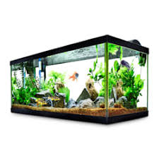 Starting at time t = 0 minutes, water containing 10 grams/liter of salt is poured into the aquarium at a rate of 60 liters/minute. Large Fish Tanks For Sale Big Fish Tanks Aquariums Petco