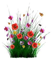 Stunning free transparent png images, unlimited download! Fruhling Blumen Gras Kostenloses Bild Auf Pixabay