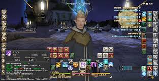 Persona Fragment 日記 若葉マークともうすぐお別れ Final Fantasy Xiv The Lodestone