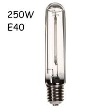 China Hydroponics Indoor Grow 250w 400w 600w 1000w High Pressure Sodium Lamp Hps Grow Light Bulbs China Hps1000w Hydroponic Lighting Grow Lamp High Pressure Sodium Lamp