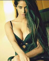 Pictures of Poonam Pandey go viral after Supreme Court grants her  pre-arrest bail in porn videos case- The Etimes Photogallery Page 12