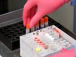 And influenza and covid vaccines. Covid Vaccines Wastage Reported In Rajasthan S Bundi