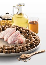 Kennel Kopek Mamasi Cagatay Pet Food Turkiye