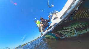 Find deals, aaa/senior/aarp/military discounts, and because of its southern florida location, okeechobee has beautiful sunny weather almost all year. Okeechobee Florida Things To Do Attractions In Okeechobee Fl