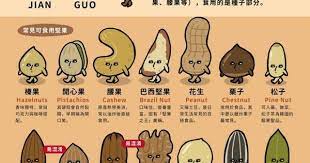 堅果家族的陣容 food infographic design food infographic health info