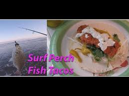 Maybe you would like to learn more about one of these? Catch And Cook Surf Perch Simple Fish Tacos Youtube