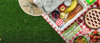 Picnic was very successful in all the test areas of that city. Best Picnic Places In Islamabad Zameen Blog