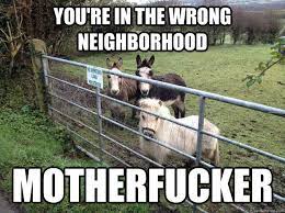 You Re In The Wrong Neighborhood Motherfucker Mini Quickmeme