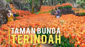 Indonesia, disebut juga dengan negara kesatuan republik indonesia (nkri, pengucapan bahasa indonesia: Taman Bunga Di Pandeglang By Berita Simalaba