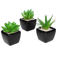 Best 25 Office Plants That Fit On Your Desk Small Fake Plants Fake Plants Decor Desk Plants