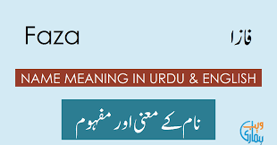 So if have for instance: Faza Name Meaning Faza Meaning Definition