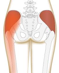 Keeping these muscles active and back muscle stretches, such as lying on the back and bringing the knees and chin to the chest, pulling slightly on muscles in the neck, shoulders, and torso. 3 Types Of Pain In The Butt And What You Can Do About It