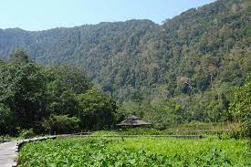 Limestone hills, constantly washed by the underground water, formed large cavities or even a large cave such as toan din cave, pah deo cave and pooyoo cave. Thale Ban National Park Khuan Don Aktuelle 2021 Lohnt Es Sich Mit Fotos