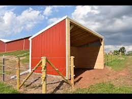 Diy Building Lean Barn Shelter For Horses Or Cattle - Youtube