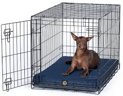 Maybe you would like to learn more about one of these? Chew Proof Dog Beds Indestructible Dog Mattresses For Sale