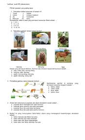 Carnivores will feed on herbivores, omnivores, and other carnivores in an ecosystem. Ekosistem Online Activity