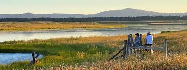 The henrys fork watershed covers a mind blowing 1.7 million acres and over 3000 miles of rivers & streams. Henry S Fork Of The Snake River Fly Fishing Waters