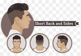Parade float, the transmission is shot. Regular Haircut Hairstyle Hair Clipper Ducktail Creative Men S Hairstyle Face People Png Pngegg