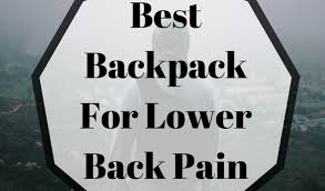 Best Laptop Backpack For Back Pain Top 3 Reviews By