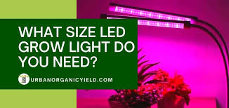 But, light intensity can improve or hinder the way your plants grow. How Many Watts Per Square Foot Needed For Led Grow Lights