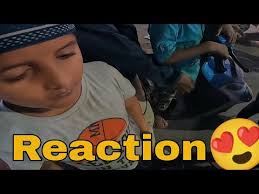 DREAM ACHIEVER VLOGS