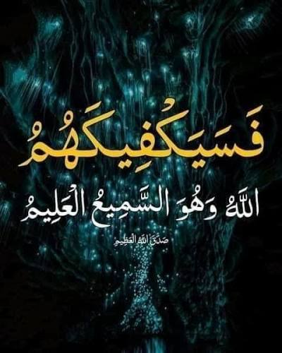 لعل فى هذه الكلمات رد على بعض الرسائل التى ترد إلى الصفحة ، واعتذر عن عدم الرد على جميع الرسائل لضيق الوقت ---------- اطمئن فإن الله معك، يكفيك مكر الماكرين، ويصدّ عنك