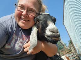 Introduction to pet goats