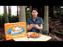 Check spelling or type a new query. Achacha Fruit Tree Tropical Fruit Daleysfruit Com Au Youtube