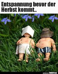 Und spätestens wenn die bäume ihre ersten blätter verlieren ist klar: Entspannung Bevor Der Herbst Kommt Entspannung Herbst Herbst Spruch