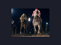 Enjoy the convenience of betting from anywhere in the park! Sam Houston Reports Increased Handle Bloodhorse