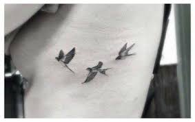 Black Bird Tattoo Meaning Pin By Cailyn Taylor On Ink Small Bird Tattoos Neck Tattoo Little Bird Tattoos