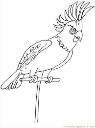 Print our free thanksgiving coloring pages to keep kids of all ages entertained this november. Coloring Pages Bird Coloring 68 Animals Birds Free Printable Coloring Home