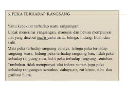 Bagaimana tanggapan tumbuhan ketika diberi rangsang panas? Ciri Ciri Makhluk Hidup Ppt Download
