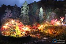 現在去剛好 日本百選賞楓地點中野紅葉山夜晚超美 travel painting canal