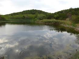 The elevation increases, so be prepared for your ears to pop as you make your way to the preserve! Cedar Ridge Preserve Managed By Audubon Dallas 2021 All You Need To Know Before You Go With Photos Tripadvisor