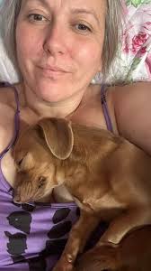 Everglades cow girl and dog ...Florida usa