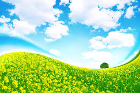 Select from premium sky and trees images of the highest quality. Grass Sky Wallpapers Group 77