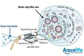 Khái niệm công nghệ thẩm thấu ngược RO